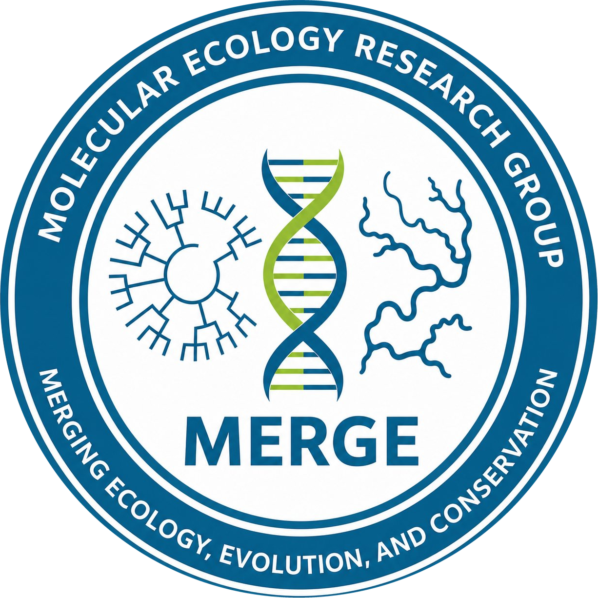 MERGE Lab